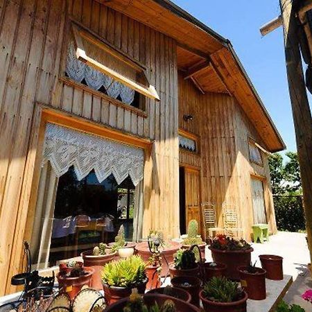 Hostel סן פליפה מראה חיצוני תמונה